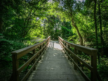 Stone creek at brookhaven apartments nature preserve and walking trails